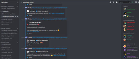 Discord Techni Sport Gaming Snapshot